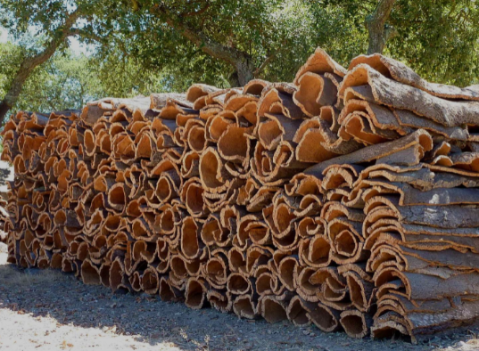 堆積如山的樹皮