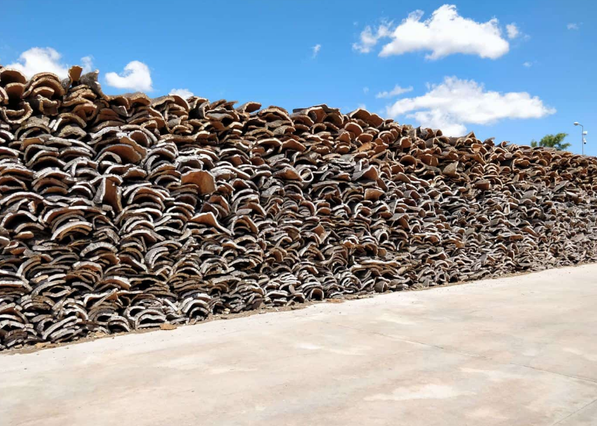 干凈的風干軟木現場